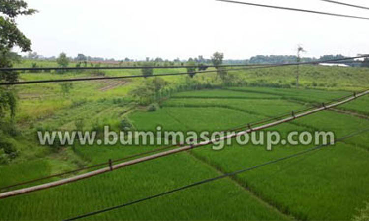 Majalengka, Palasah Foto Lokasi