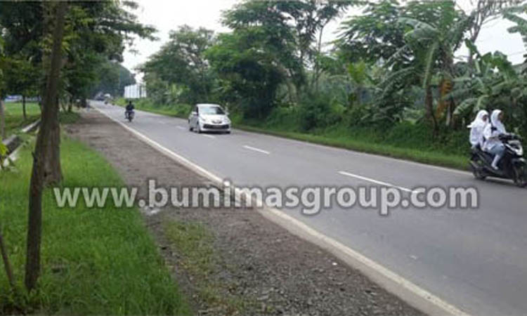 Majalengka, Palasah Foto Lokasi