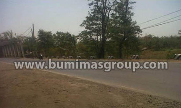 Majalengka, Palasah Foto Lokasi