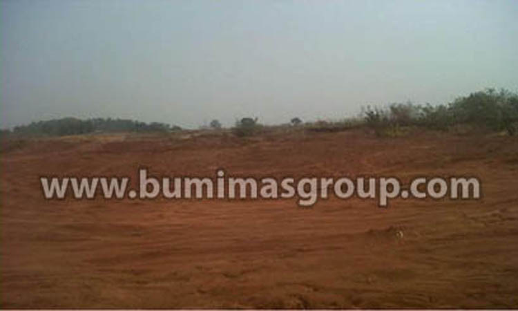 Majalengka, Palasah Foto Lokasi