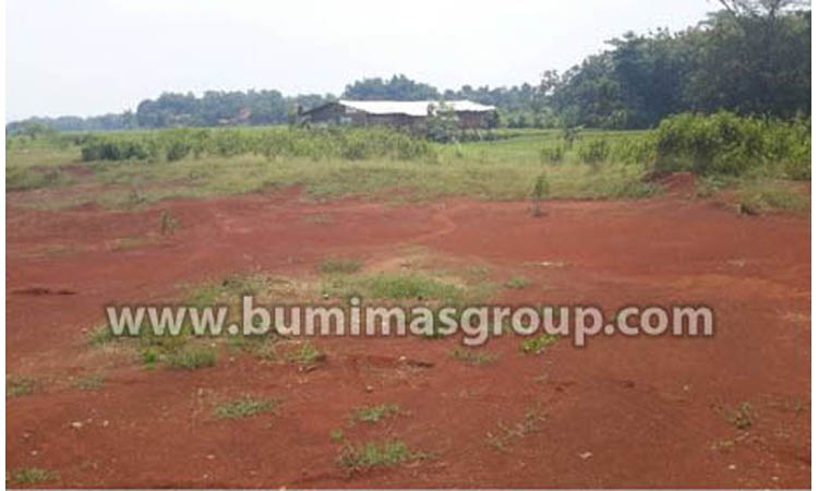 Majalengka, Palasah Tanah Rata