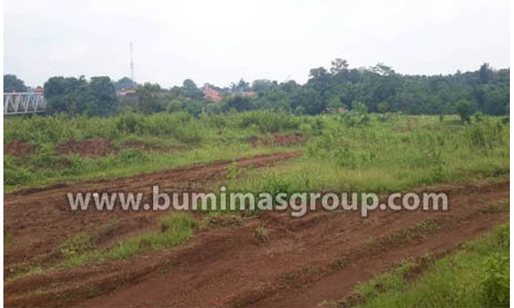 Majalengka, Palasah Tanah Rata