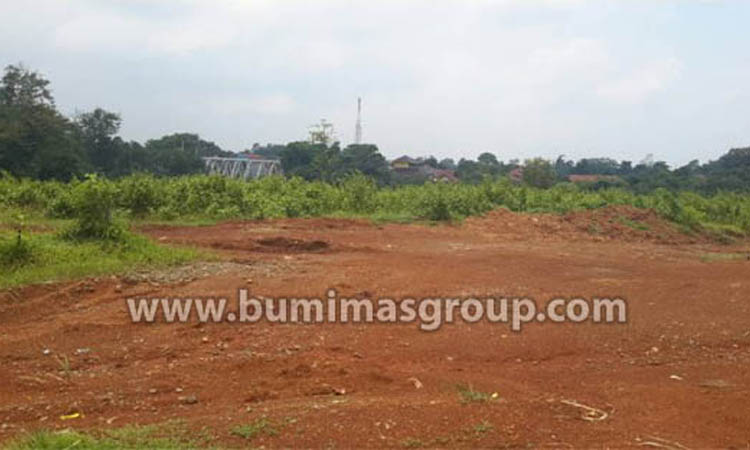 Majalengka, Palasah Tanah Rata