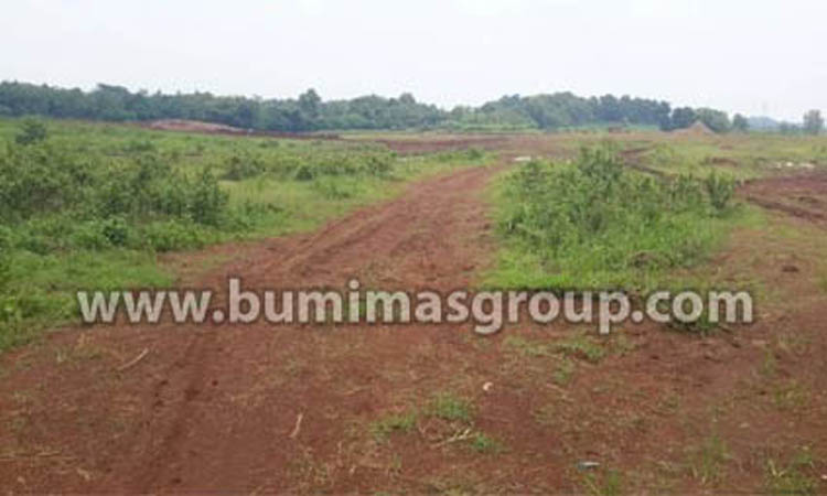 Majalengka, Palasah Tanah Rata